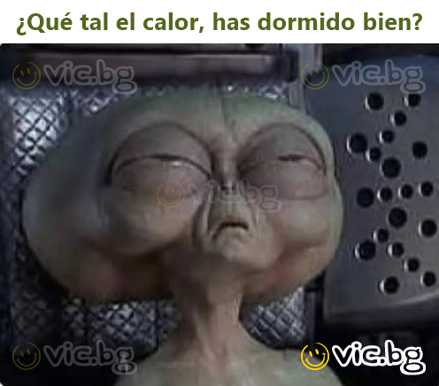 ¿Qué tal el calor, has dormido bien?