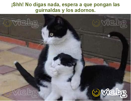 ¡Shh! No digas nada, espera a que pongan las guirnaldas y los adornos.