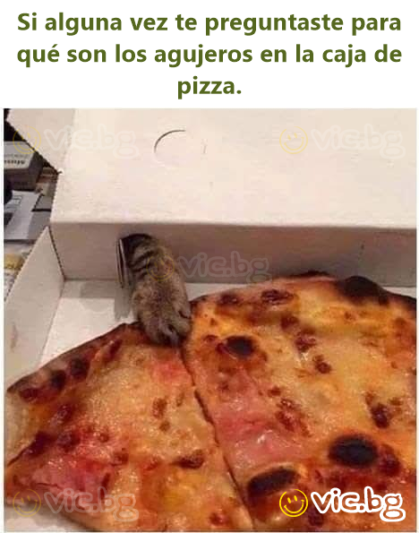 Si alguna vez te preguntaste para qué son los agujeros en la caja de pizza.