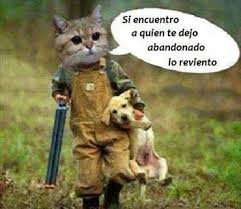 Si encuentro a quien te Si encuentro a quien te dejo abandonado lo reviento