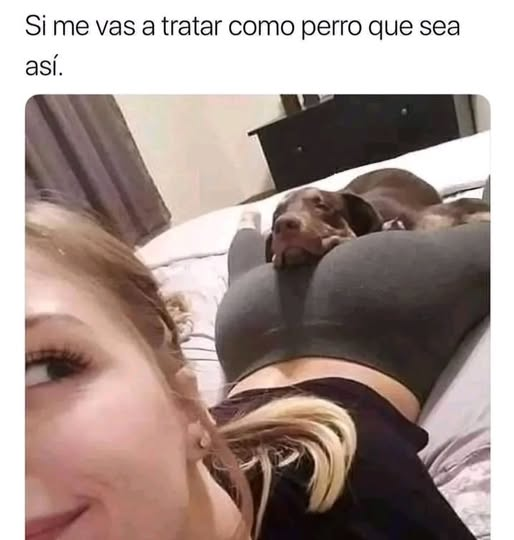 Si me vas a tratar como реrrо que sea así.