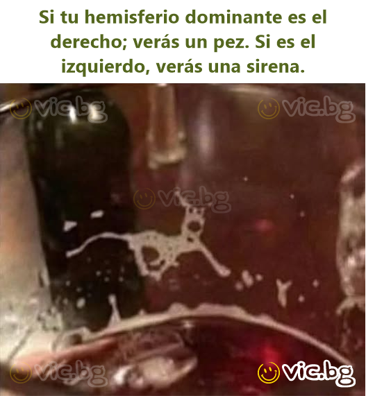 Si tu hemisferio dominante es el derecho; verás un pez. Si es el izquierdo, verás una sirena.