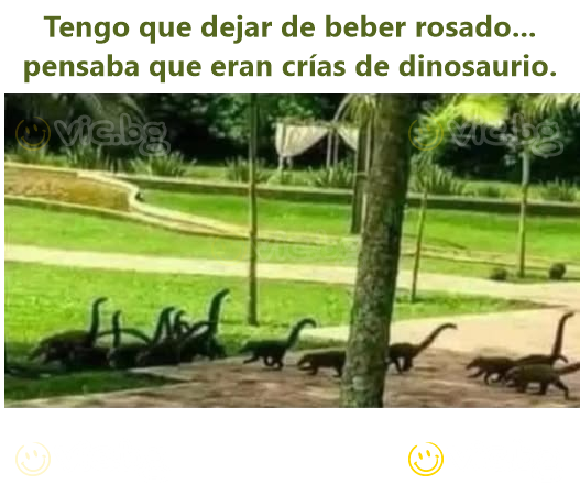 Tengo que dejar de beber rosado... pensaba que eran crías de dinosaurio.