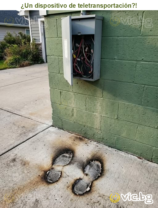 ¿Un dispositivo de teletransportación?!