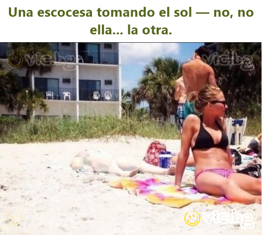Una escocesa tomando el sol — no, no ella... la otra.