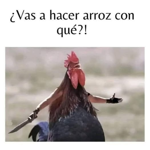 ¿ Vas a hacer arroz con qué?!