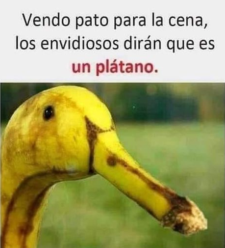 Vendo pato para la cena, los envidiosos dirán que es un plátano.