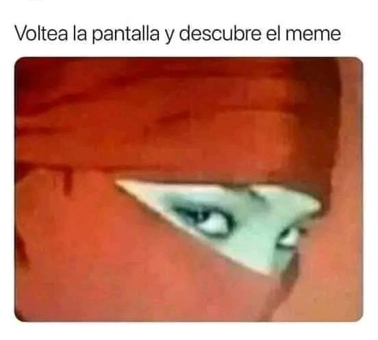 Voltea la pantalla y descubre el meme