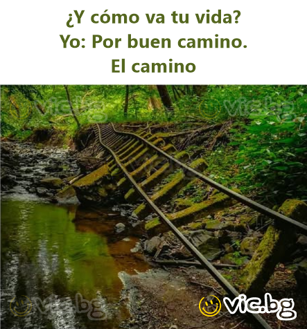 ¿Y cómo va tu vida?  Yo: Por buen camino.  El camino