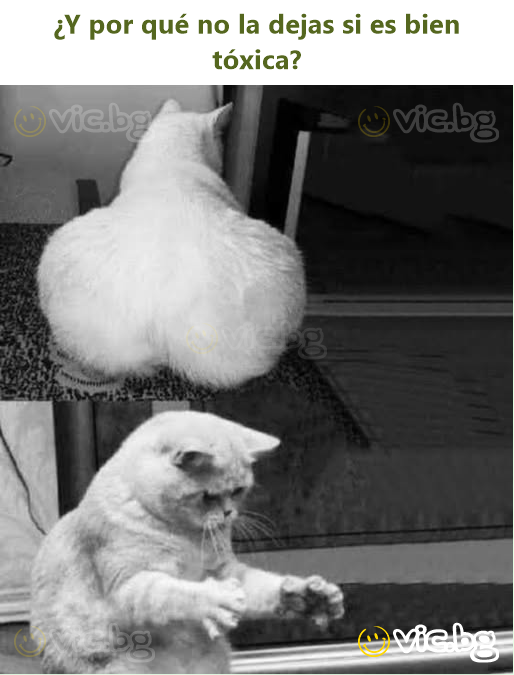 ¿Y por qué no la dejas si es bien tóxica?