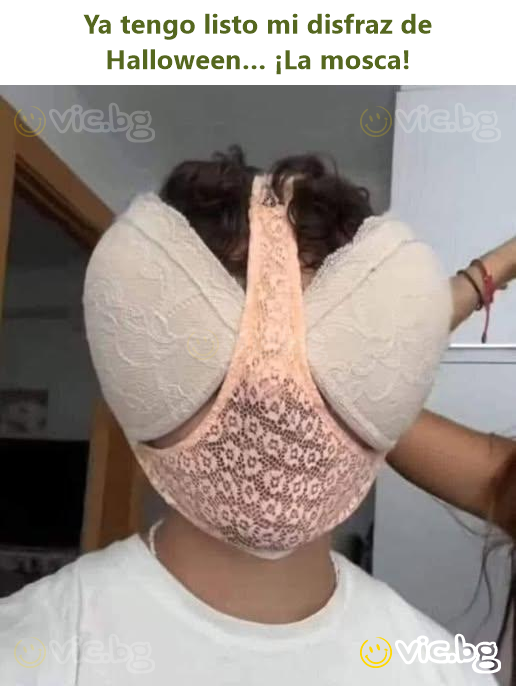Ya tengo listo mi disfraz de Halloween… ¡La mosca!