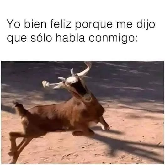 Yo bien feliz porque me dijo que sólo habla conmigo: