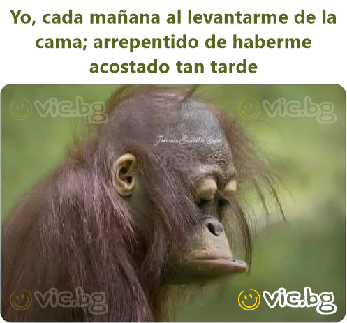 Yo, cada mañana al levantarme de la cama; arrepentido de haberme acostado tan tarde