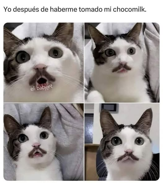 Yo después de haberme tomado mi chocomilk.