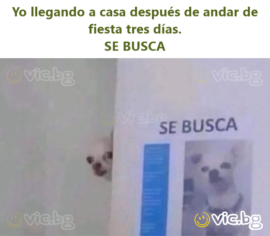 Yo llegando a casa después de andar de fiesta tres días.  SE BUSCA