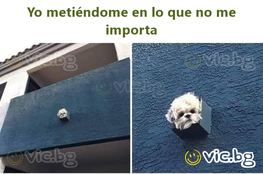 Yo metiéndome en lo que no me importa