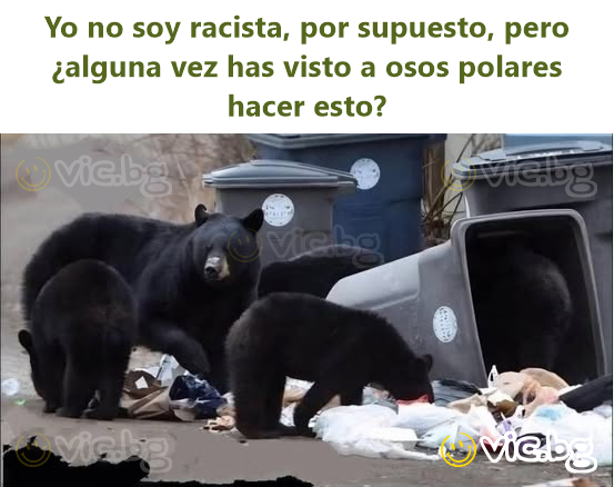 Yo no soy racista, por supuesto, pero ¿alguna vez has visto a osos polares hacer esto?
