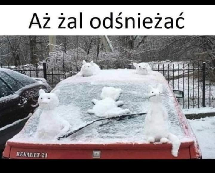 Az zal odsniezac
