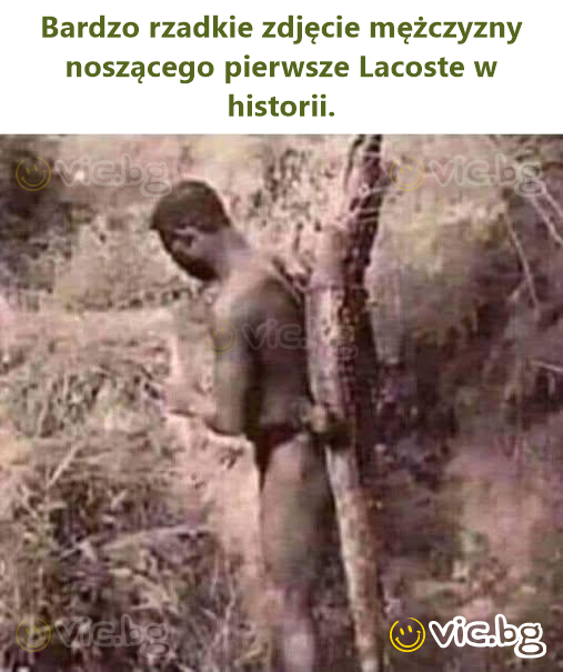 Bardzo rzadkie zdjęcie mężczyzny noszącego pierwsze Lacoste w historii.