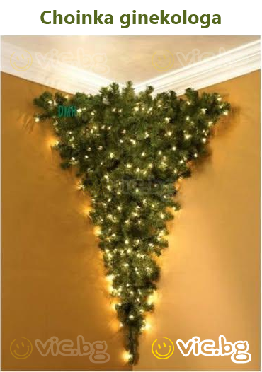 Choinka ginekologa