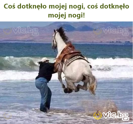 Coś dotknęło mojej nogi, coś dotknęło mojej nogi!