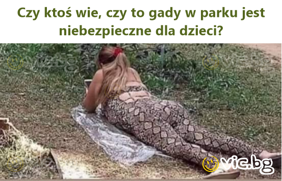 Czy ktoś wie, czy to gady w parku jest niebezpieczne dla dzieci?
