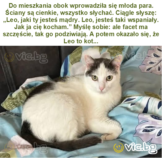 Do mieszkania obok wprowadziła się młoda para. Ściany są cienkie, wszystko słychać. Ciągle słyszę: „Leo, jaki ty jesteś mądry. Leo, jesteś taki wspaniały. Jak ja cię kocham.” Myślę sobie: ale facet ma...