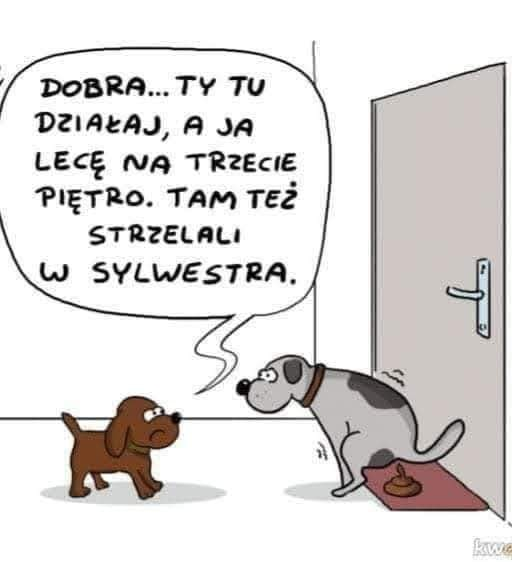 Dobra... Ty tu dziaraj, a ja lece na trzecie pietro. Tam tez strzelali w sylwestra.