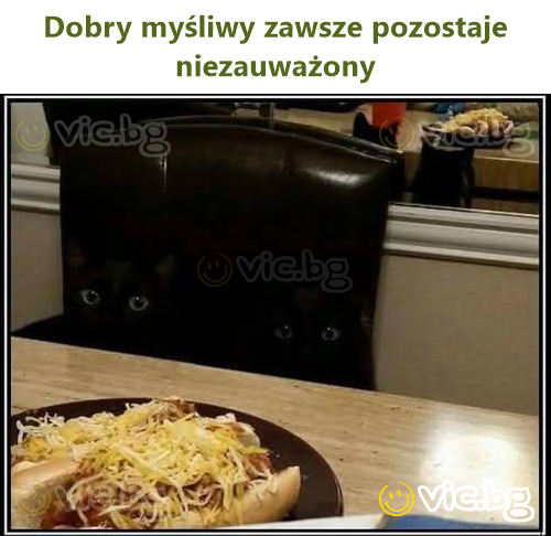 Dobry myśliwy zawsze pozostaje niezauważony