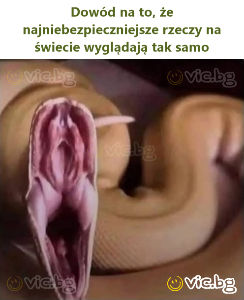 Dowód na to, że najniebezpieczniejsze rzeczy na świecie wyglądają tak samo