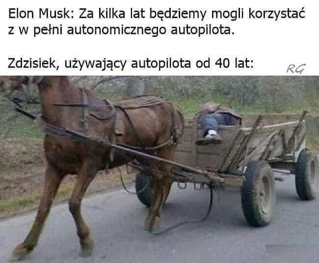 Elon Musk: Za kilka lat bedziemy mogli korzystac z w petni autonomicznego autopilota. Zdzisiek, uzywajacy autopilota od 40 lat:
