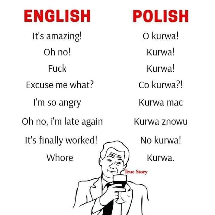 ENGLISH	POLISH It's amazing!	O kurwa! Oh no!	Kurwa! Fuck	Kurwa! Excuse me what?	Co kurwa?! I'm so angry	Kurwa mac Oh no, i'm late again	Kurwa znowu It's finally worked!	No kurwa! Whore	Kurwa.