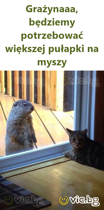 Grażynaaa, będziemy potrzebować większej pułapki na myszy