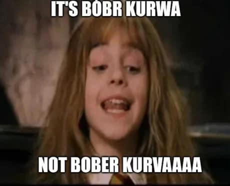 It's bobr kurwa not bober kurvaaaa
