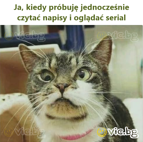 Ja, kiedy próbuję jednocześnie czytać napisy i oglądać serial