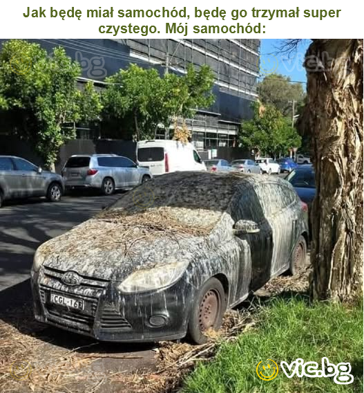 Jak będę miał samochód, będę go trzymał super czystego. Mój samochód: