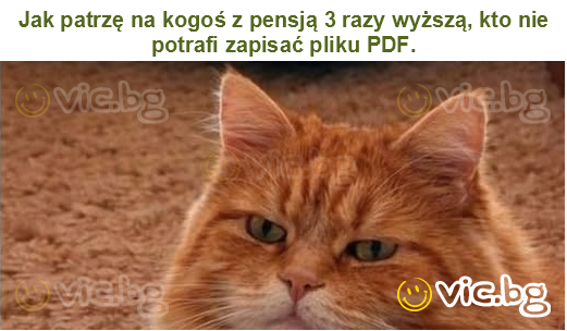 Jak patrzę na kogoś z pensją 3 razy wyższą, kto nie potrafi zapisać pliku PDF.