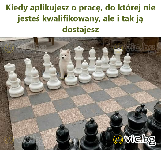 Kiedy aplikujesz o pracę, do której nie jesteś kwalifikowany, ale i tak ją dostajesz
