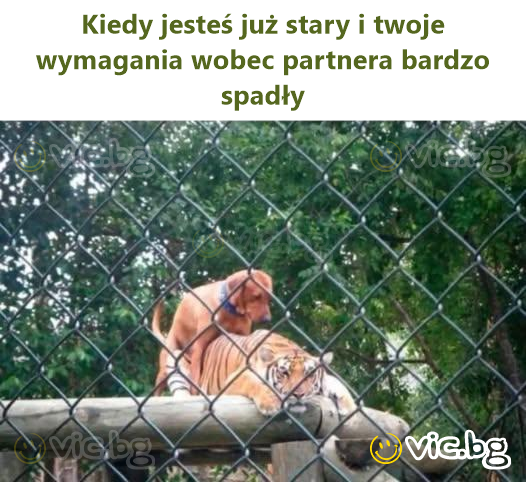 Kiedy jesteś już stary i twoje wymagania wobec partnera bardzo spadły