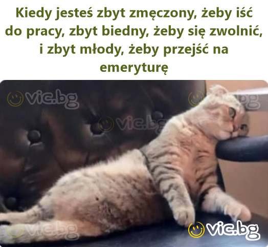 Kiedy jesteś zbyt zmęczony, żeby iść do pracy, zbyt biedny, żeby się zwolnić, i zbyt młody, żeby przejść na emeryturę