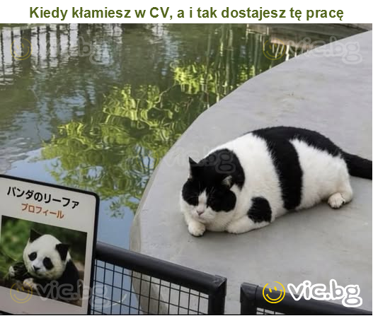 Kiedy kłamiesz w CV, a i tak dostajesz tę pracę