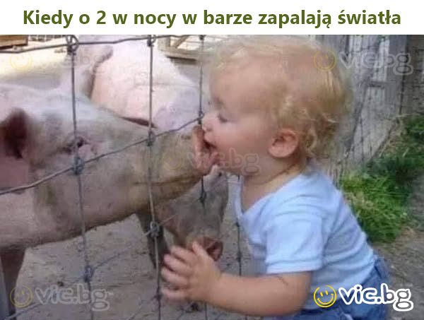 Kiedy o 2 w nocy w barze zapalają światła