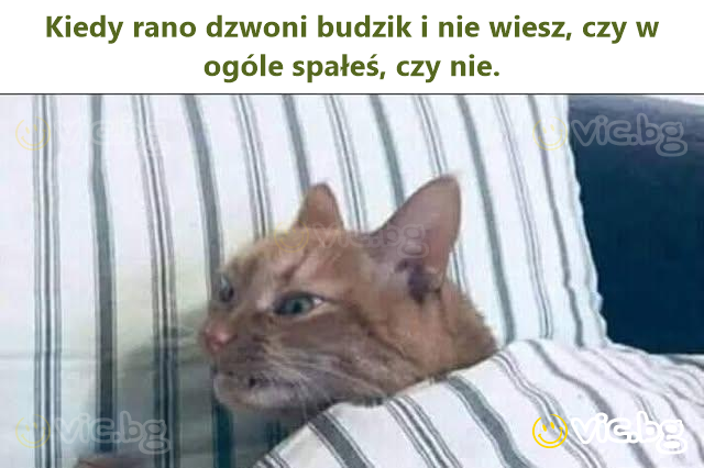 Kiedy rano dzwoni budzik i nie wiesz, czy w ogóle spałeś, czy nie.