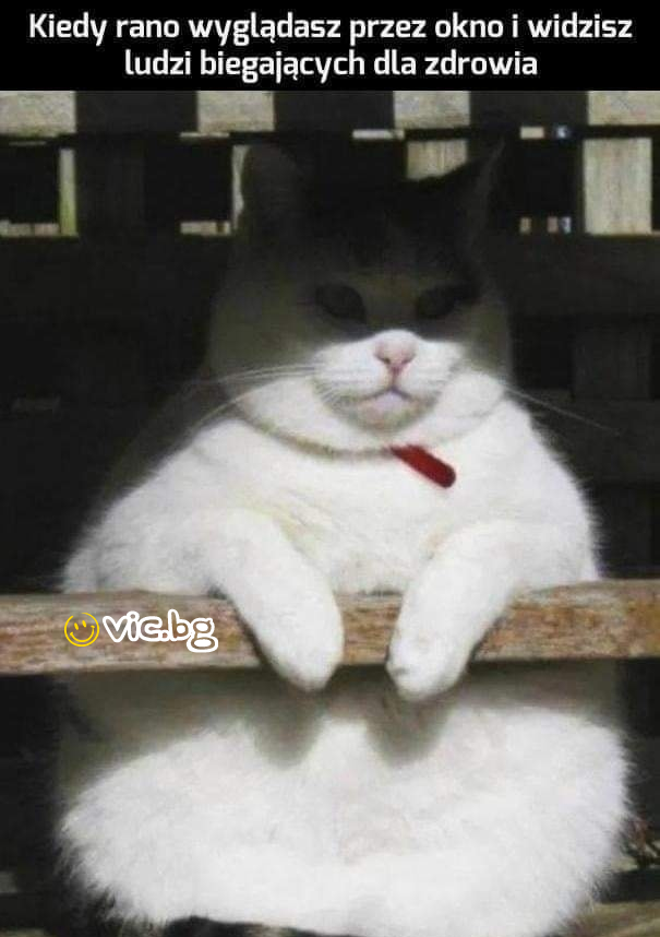 Kiedy rano wygladasz przez okno i widzisz ludzi biegajacych dla zdrowia