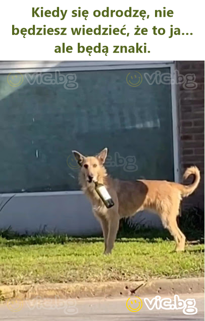 Kiedy się odrodzę, nie będziesz wiedzieć, że to ja… ale będą znaki.