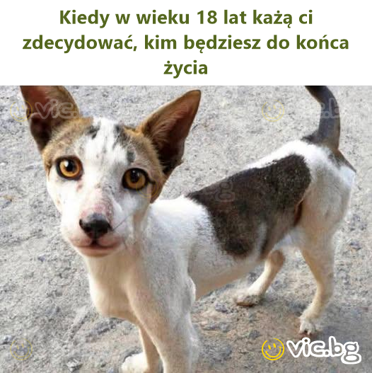 Kiedy w wieku 18 lat każą ci zdecydować, kim będziesz do końca życia