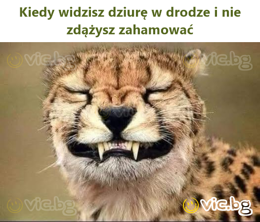 Kiedy widzisz dziurę w drodze i nie zdążysz zahamować