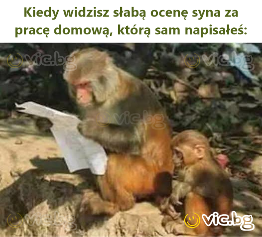 Kiedy widzisz słabą ocenę syna za pracę domową, którą sam napisałeś: