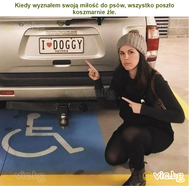 Kiedy wyznałem swoją miłość do psów, wszystko poszło koszmarnie źle.