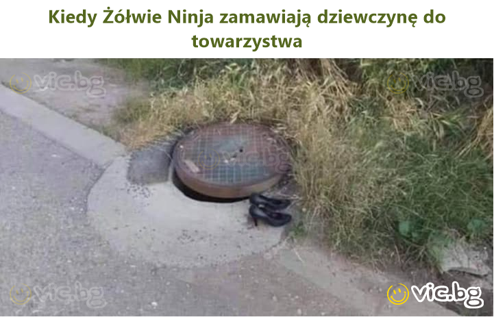 Kiedy Żółwie Ninja zamawiają dziewczynę do towarzystwa